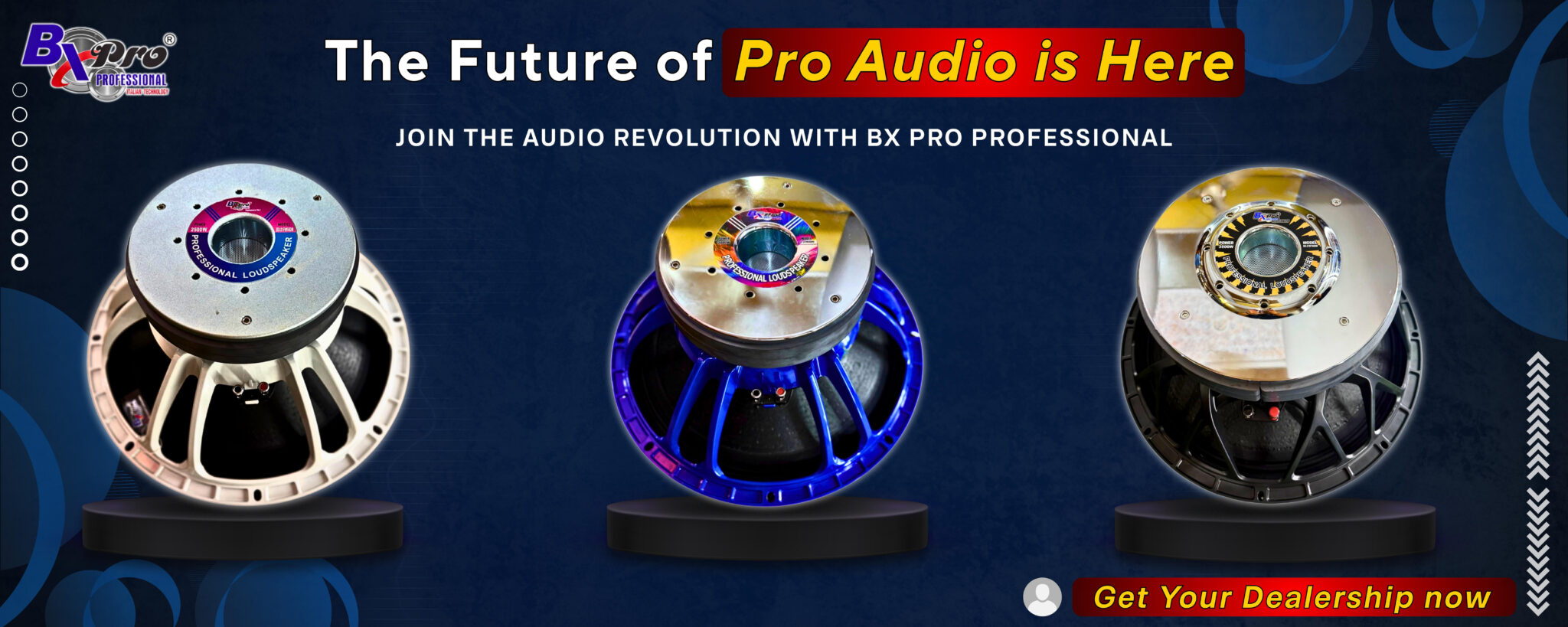 bx-pro-professional-dealership